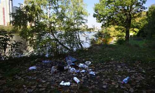 Куда жаловаться на незаконную свалку в Московской области