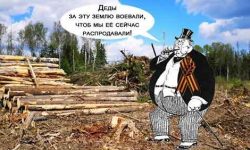 Приватизируй это: новый законопроект о пользовании лесами