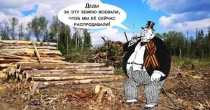 Приватизируй это: новый законопроект о пользовании лесами