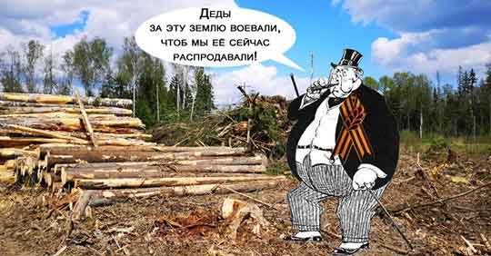 Вы сейчас просматриваете Приватизируй это: новый законопроект о пользовании лесами