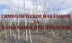 СИМВОЛИЧЕСКОЕ НАКАЗАНИЕ ЗА НАМЕРЕННОЕ ПРЕСТУПЛЕНИЕ