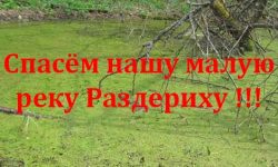 Спасём нашу малую реку Раздериху!