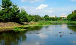 Программа «Реабилитация малых рек Подмосковья»
