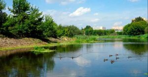 Программа «Реабилитация малых рек Подмосковья»