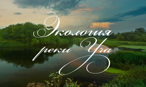 О порядке реабилитации рек в Московской области
