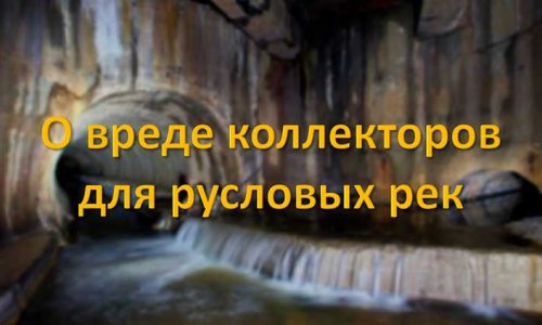 О вреде коллекторов для русловых рек