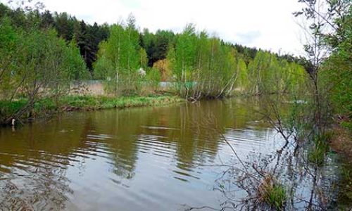 Река Саморядовка