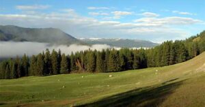 Вирус социального паразитизма и защита от него.