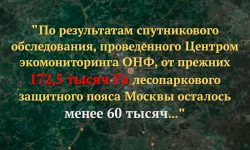 Вырубка лесных массивов в столичном регионе…
