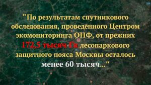 Вырубка лесных массивов в столичном регионе...