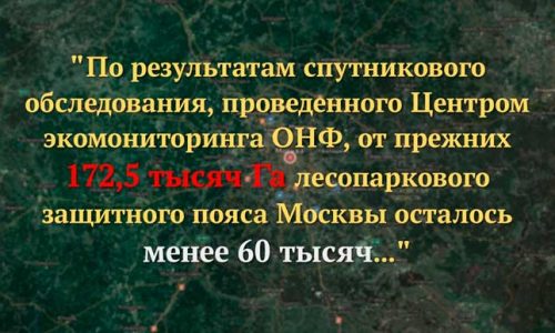 Вырубка лесных массивов в столичном регионе…