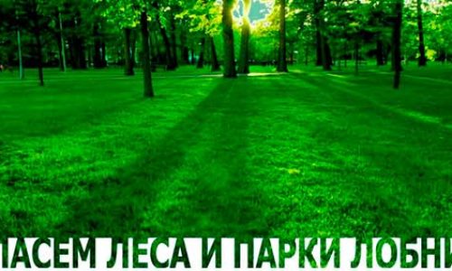 О зелёных насаждениях подмосковного города Лобня