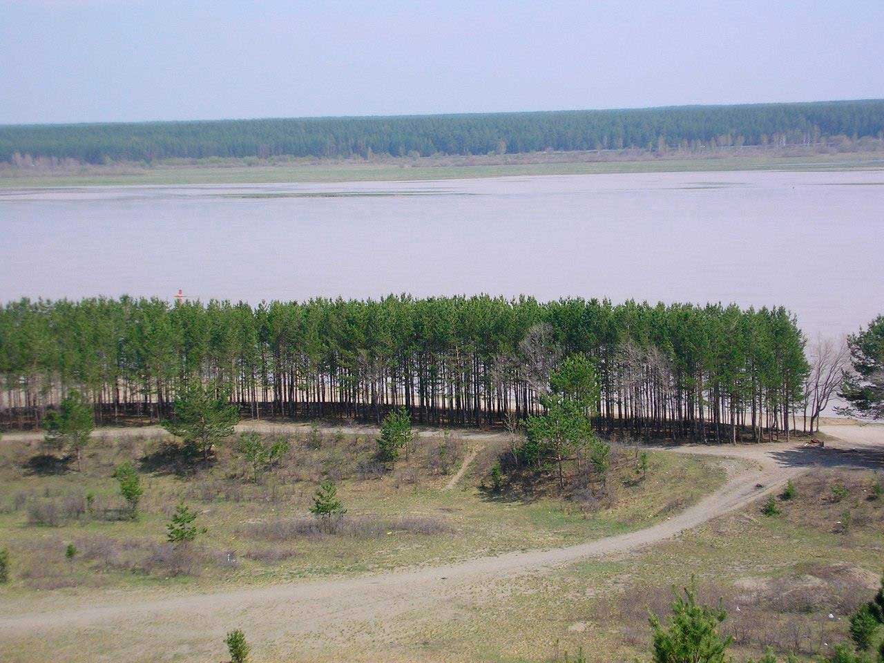 Рис. 5. Лесопарковая зона квартала АБ (фото автора)