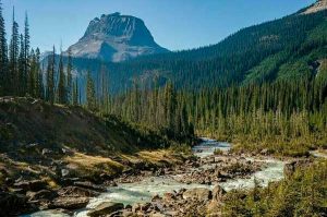 "Оптимизация" заповедников...