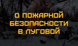 О пожарной безопасности в Луговой