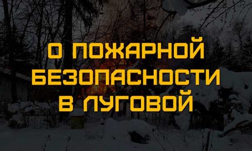 О пожарной безопасности в Луговой