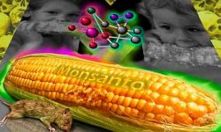 Здесь был НИИ, или как разрушают землю и знания… и кто…