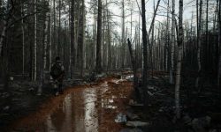 Смерть в мутной воде