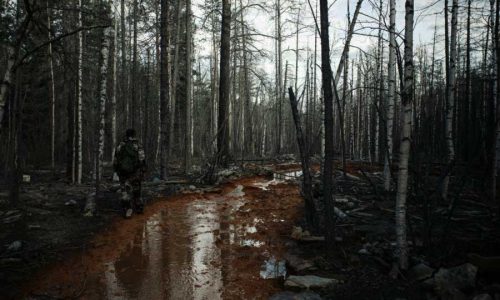 Смерть в мутной воде