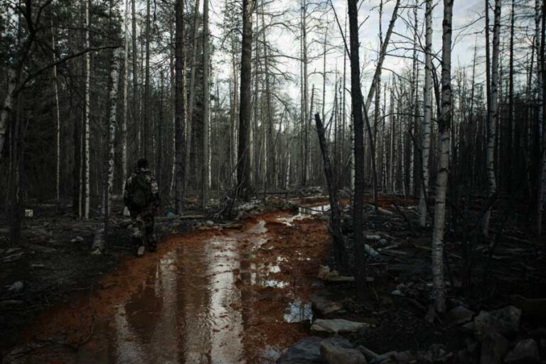 Смерть в мутной воде