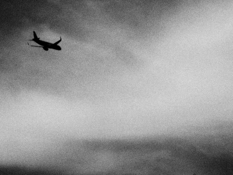 Угробить реку или остановить Шереметьево?