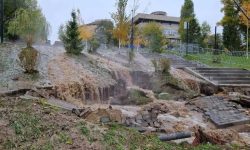 Фекальное шествие