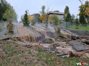 Фекальное шествие