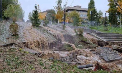 Фекальное шествие