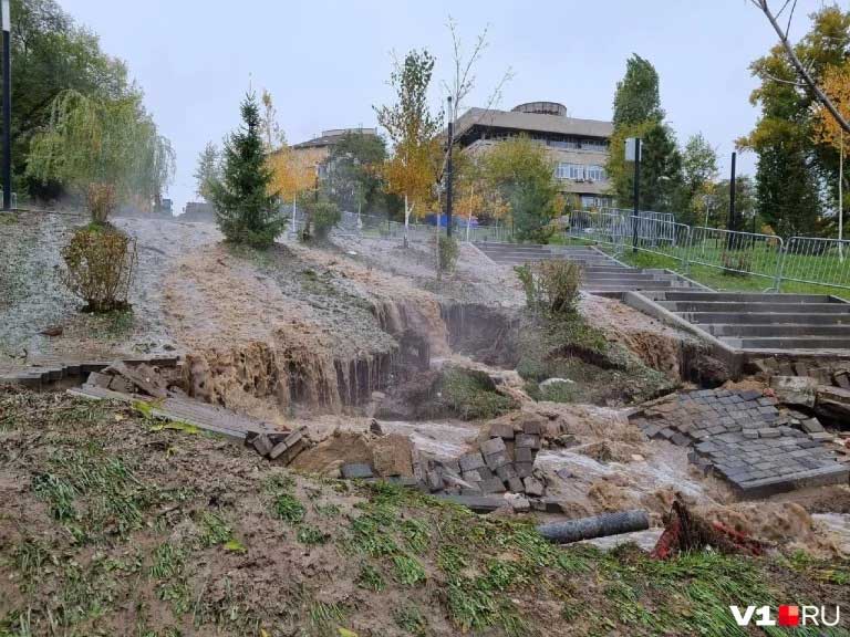 Фекальное шествие