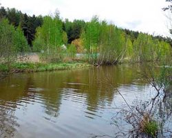 Саморядовка